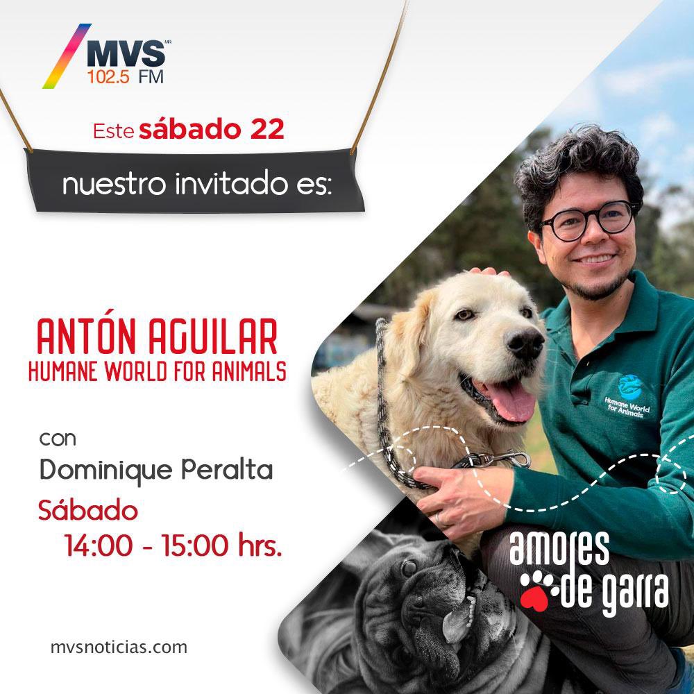 🎙️ Hablemos de bienestar animal 🐾
Este sábado 22 de febrero, Antón Aguilar, director de Humane World For Animals México, estará en <a href="/AmoresGarra/">Amores de Garra</a> Dominique Peralta por MVS 102.5 de 14:00 a 15:00 h. No te lo pierdas. #HumaneWorld