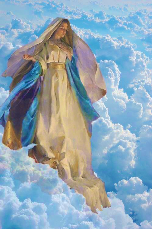 PascalRio3's tweet image. 