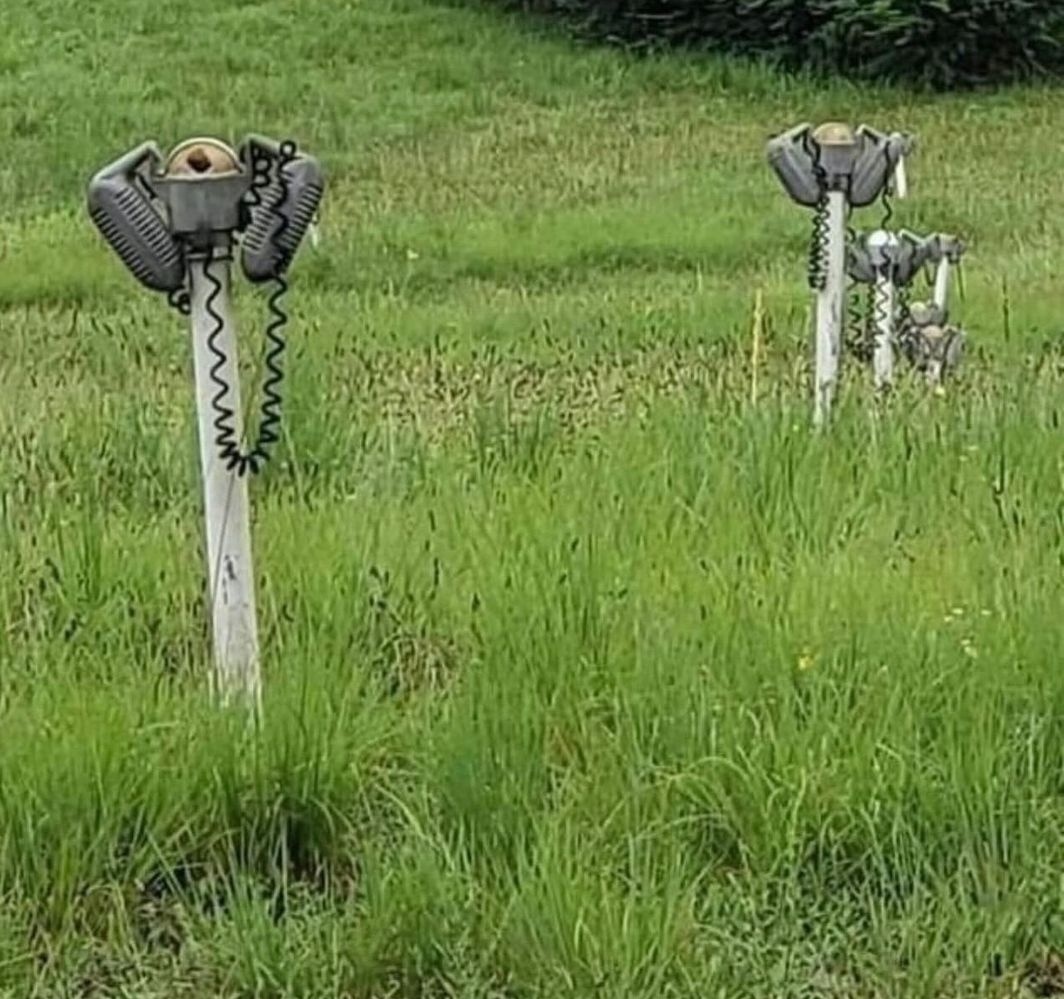 landofthe80s's tweet image. Today's generation will have no idea what these are.