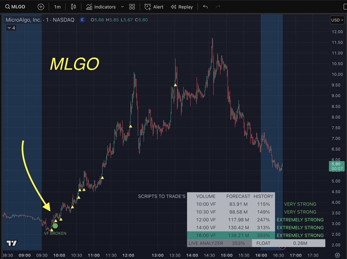 scriptstotrade's tweet photo. Check out where our renowned volume forecast indicated that $MLGO had exceptionally high volume. Picture having this insight during your trading session. https://t.co/lgTIK11d6o