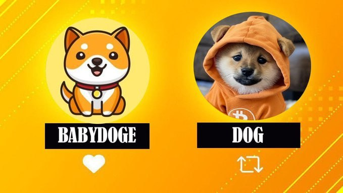 What do you prefer,    #BabyDoge or $DOG ? 👀