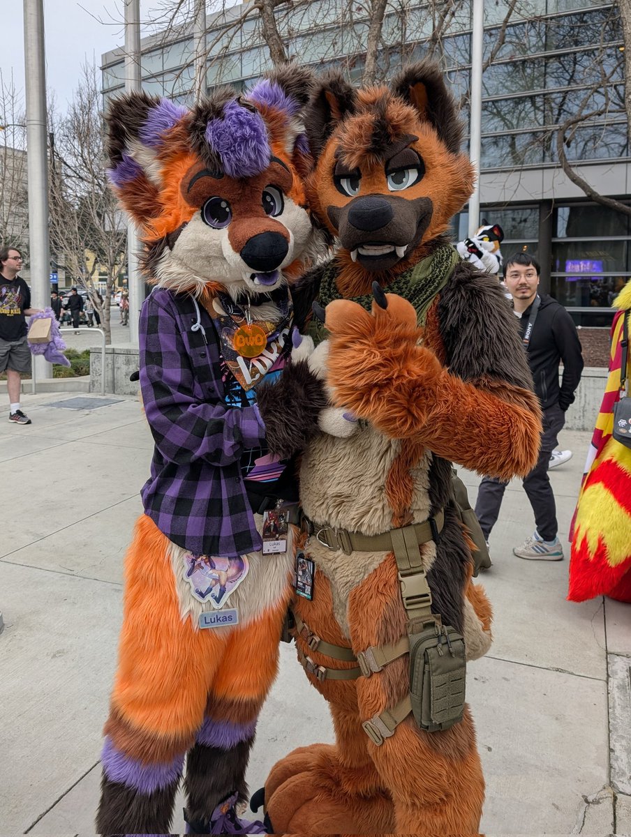 #FursuitFriday with <a href="/RingerShep/">Ringer</a> ✨