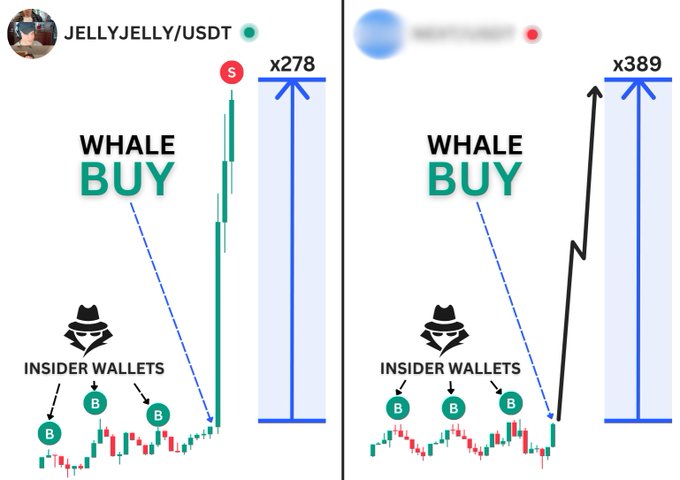 Chart showing whale and insider wallet activity in meme coin trading