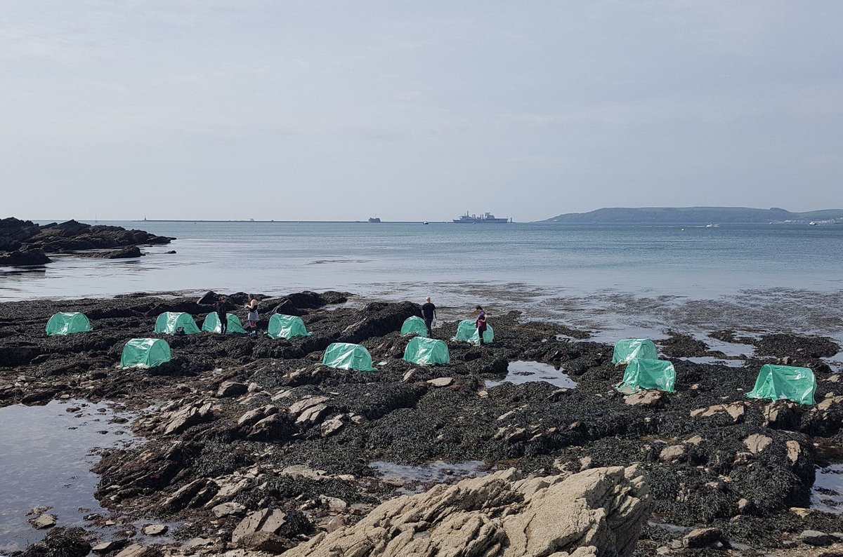 Owen Harris 🧜♂️🌱 (@owenmarinebio) on Twitter photo I am so stoked that my MRes project has been published! Many thanks to <a href="/DanSmale1/">Dan Smale</a>, <a href="/King_Nath1/">Nathan King</a>, <a href="/AndyFoggo/">AndyFoggo</a> and the BEECH team at <a href="/thembauk/">MBA - Marine Biological Association</a> for their invaluable support ❤️
nsojournals.onlinelibrary.wiley.com/doi/10.1111/oi… I am so stoked that my MRes project has been published! Many thanks to <a href="/DanSmale1/">Dan Smale</a>, <a href="/King_Nath1/">Nathan King</a>, <a href="/AndyFoggo/">AndyFoggo</a> and the BEECH team at <a href="/thembauk/">MBA - Marine Biological Association</a> for their invaluable support ❤️
nsojournals.onlinelibrary.wiley.com/doi/10.1111/oi…