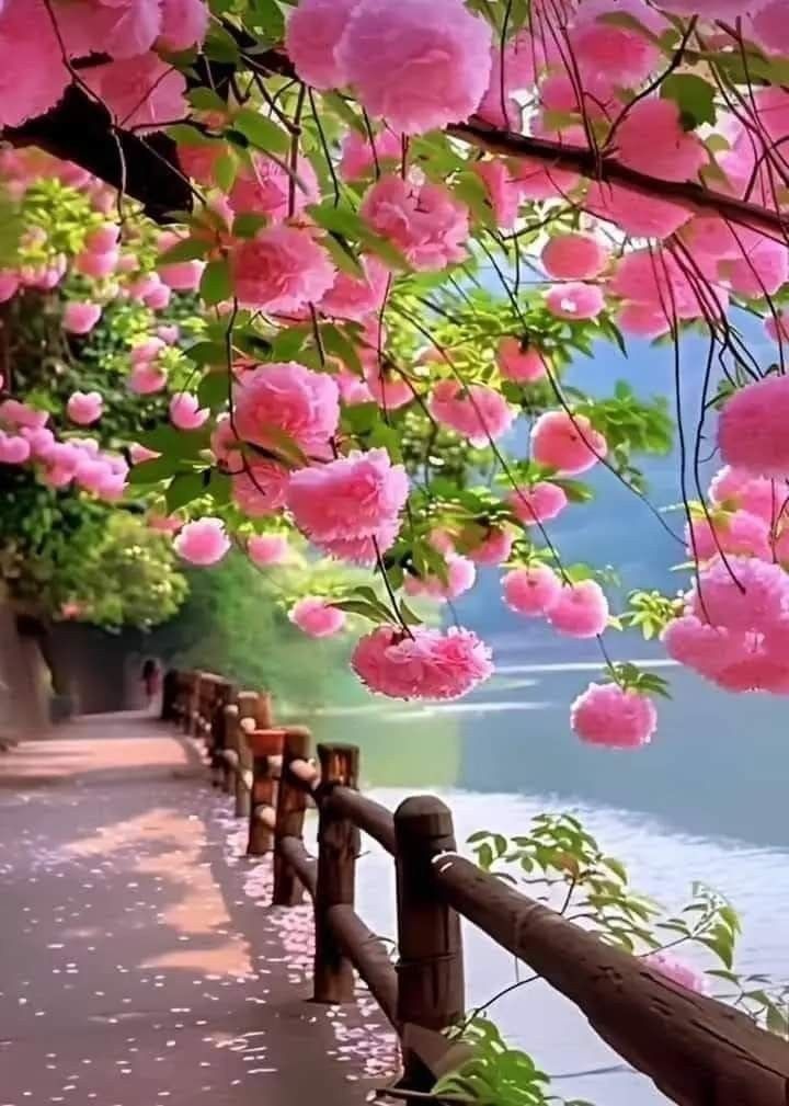 光る✴️ (@9ethikaru369) on Twitter photo 