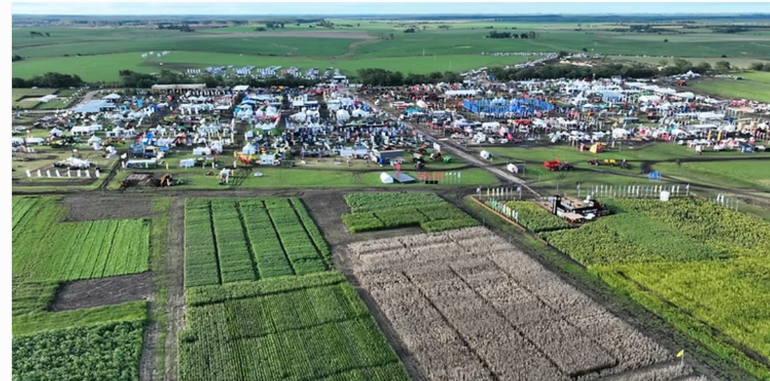 Expoactiva número 28, del 19 al 22 de marzo! A tope! 
sorianoaldia.com.uy/2025/02/20/exp…