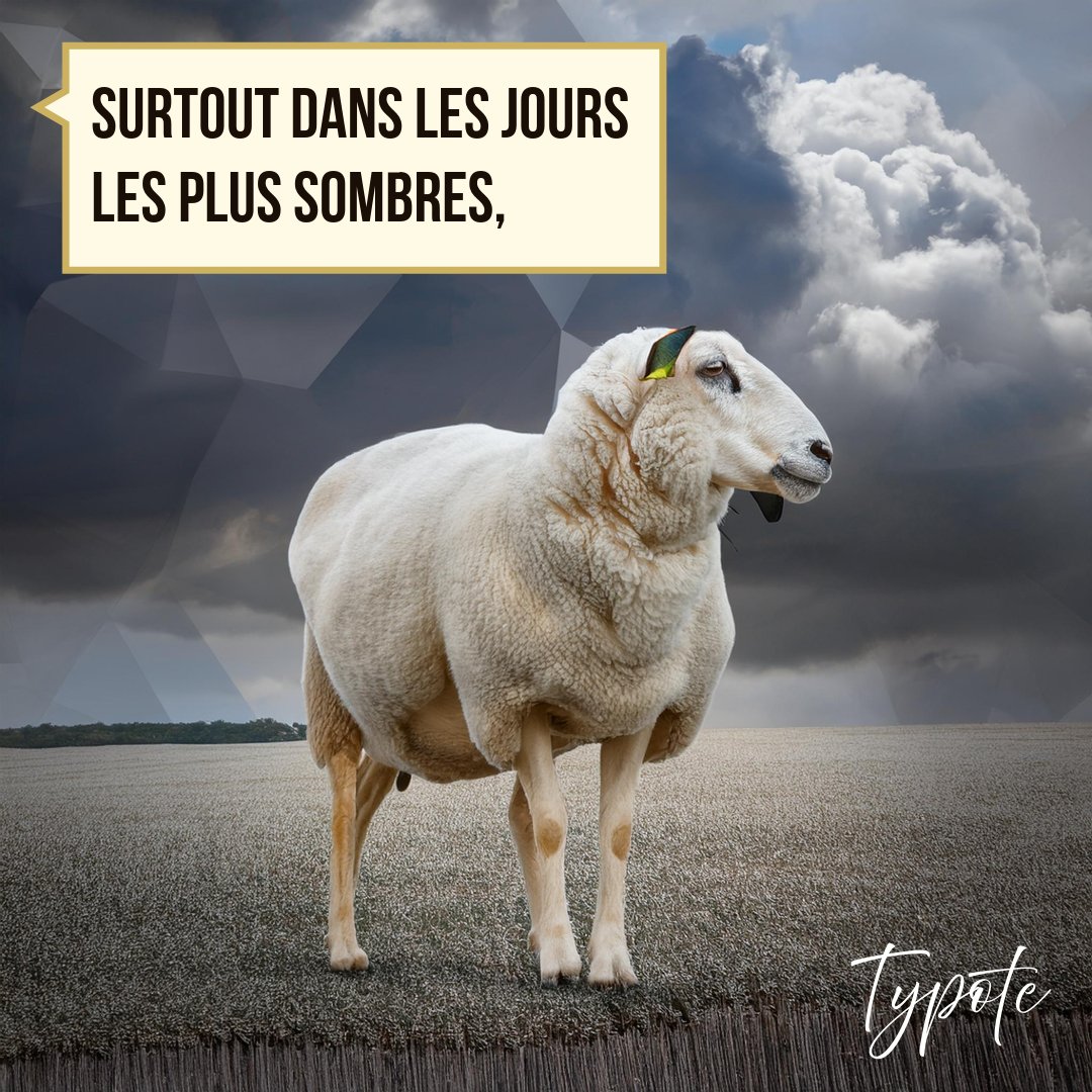 TypoteB's tweet image. Les dessins dans les nuages sombres