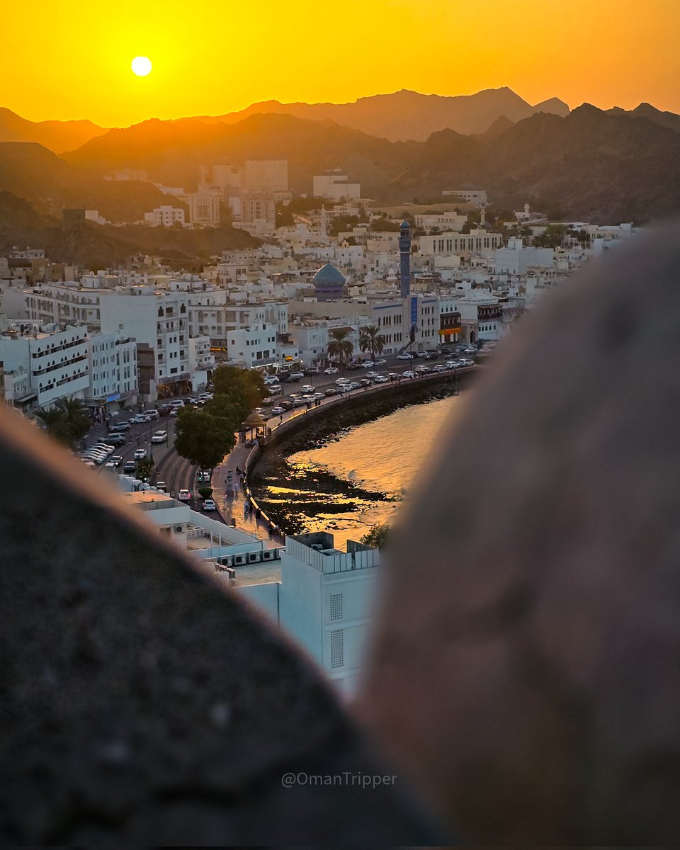 Ali | OmanTripper tweet media