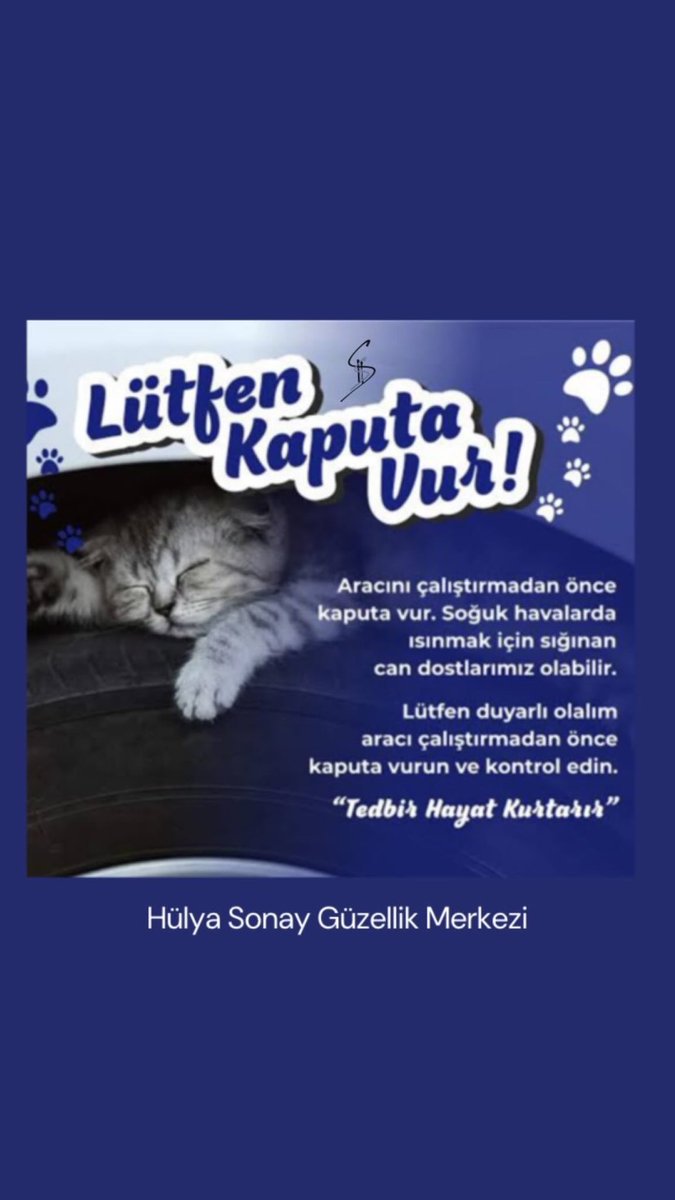 Sokak canlarımız için çok önemli❤️ 
.
.
.
#AppleLaunch #NejlaTeyzeİçinAdalet #SONDAKİKA