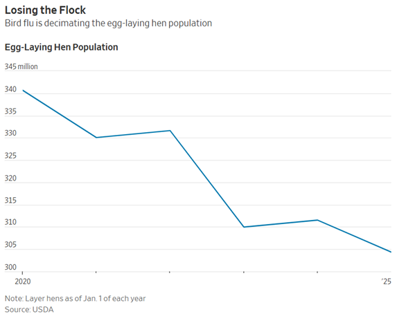 SteveRattner's tweet photo. The bird flu has massively shrunk the egg-laying hen population — with a shortage of layers, egg prices won’t go down any time soon. https://t.co/3GBx3ypJzw