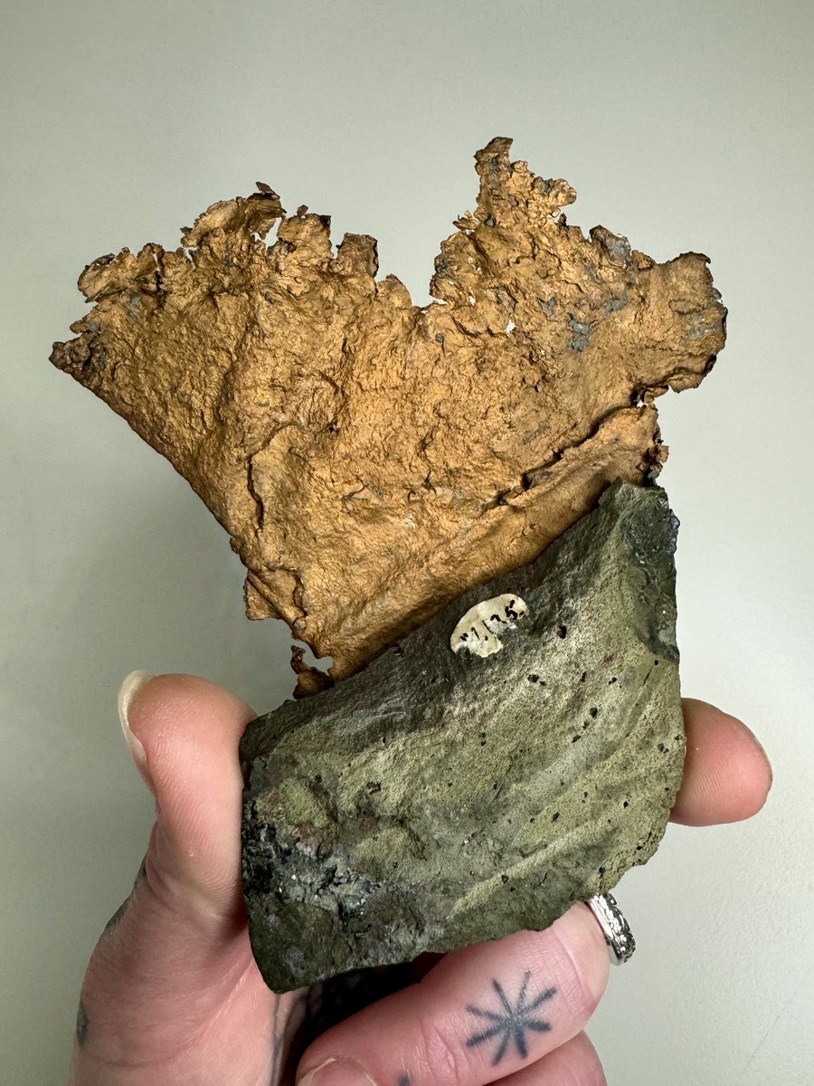 Head Like A Hole (Copper)
