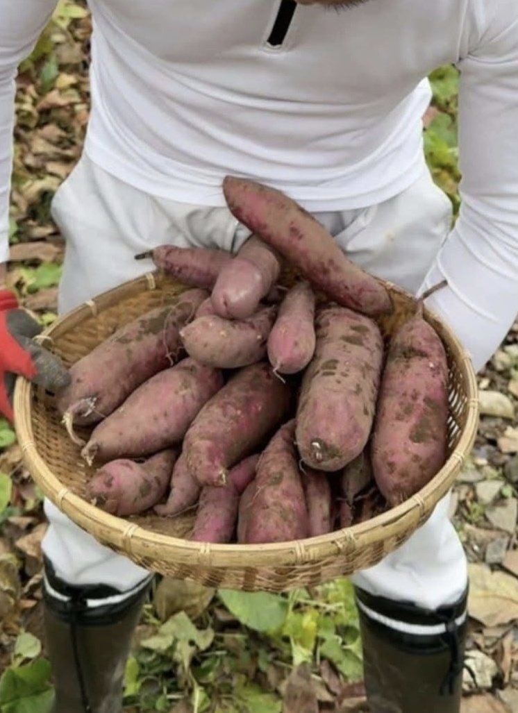 QUIEN QUIERE CAMOTES? 😋🤤