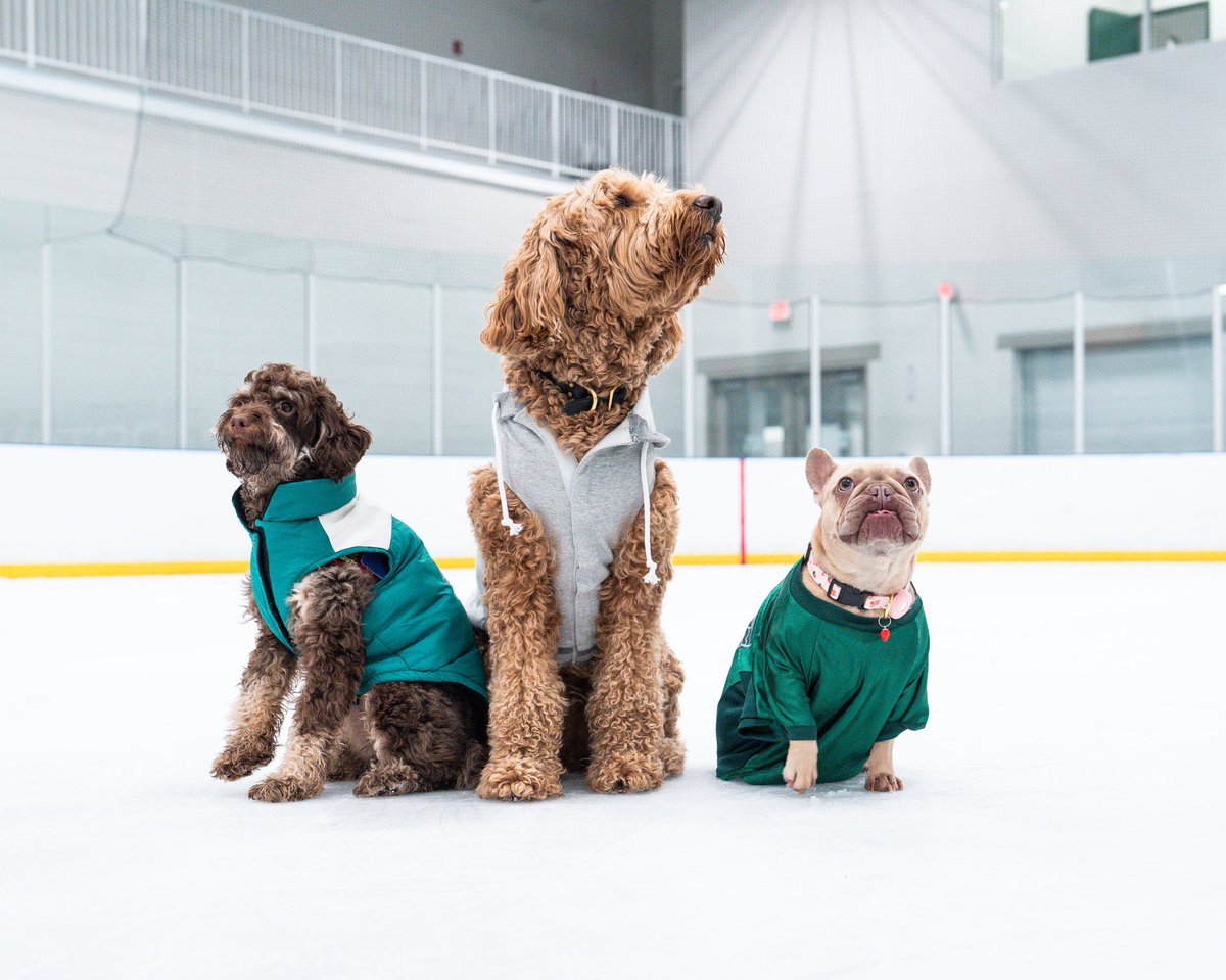 x - Boston Fleet tweet media