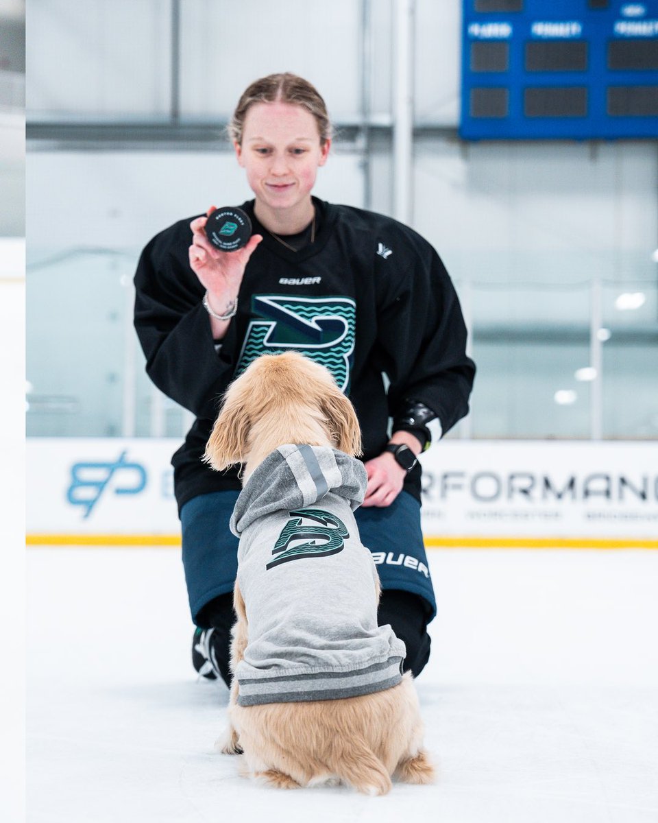 x - Boston Fleet tweet media