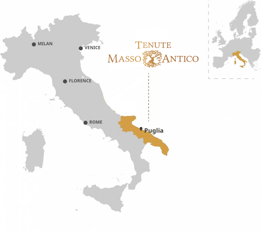 mikolaj_b's tweet photo. Masso Antico 🍷Italian wines - https://t.co/LzCR9uXGfI
-25% na wszystkie wina Masso Antico przy zakupie minimum 6 butelek https://t.co/EtBRn6VkmS