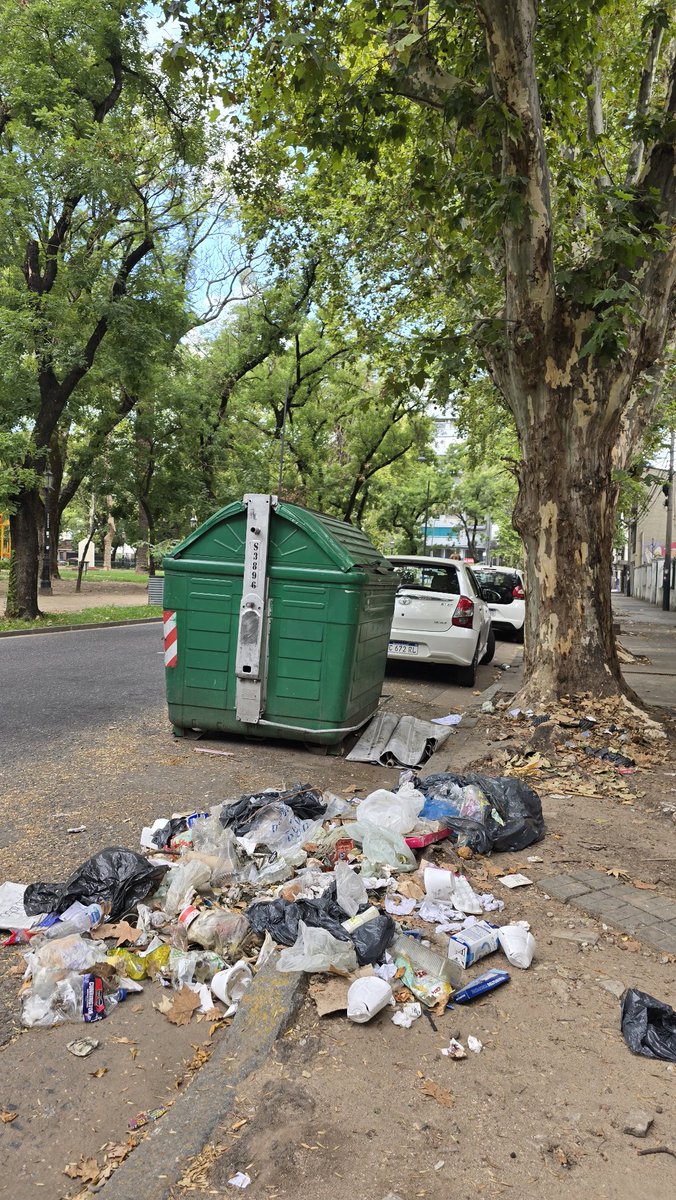 Carc_Luucas's tweet photo. Barrio #Echesortu a dias del comienzo d clases. Frente a la plaza llena de niños, media cuadra d la iglesia y a metros de un bar. Se les pide a los recolectores q levanten y ni 5.Los vecinos Jamás vimos este abandono. @lmarelli0 @pablojavkin @Rosariociudadok @PreciosRosario2 https://t.co/PPnXpf7I32