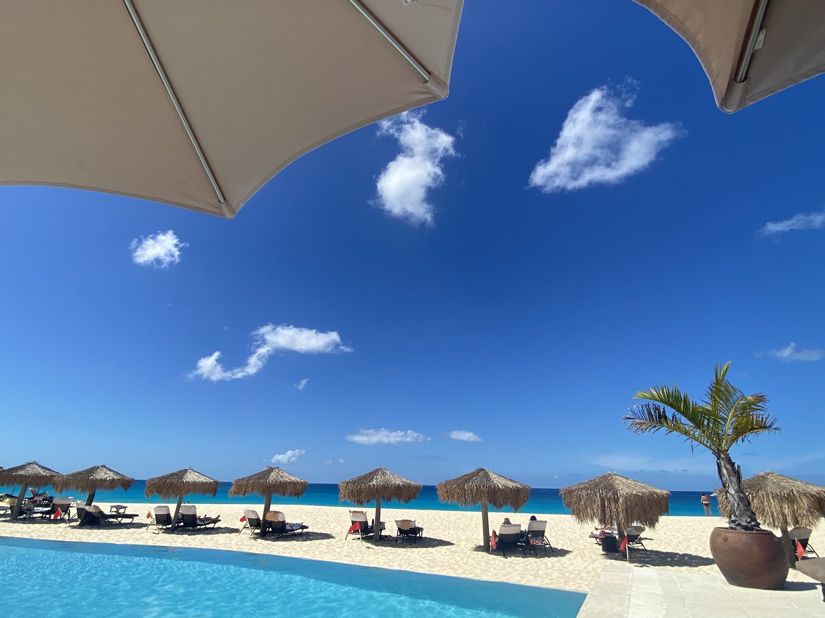 Phys.Ed.Review tweet media