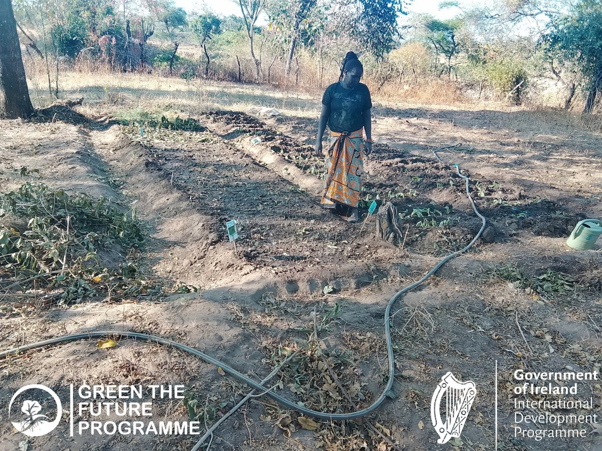 gretfup's tweet photo. Women are at the heart of grassroots climate action! From leading tree planting initiatives to championing sustainable farming, they drive real change in their communities. Empowering women means strengthening climate resilience for all.#WomenLead
@IrlEmbKenya
@IrlAmbKenya https://t.co/1grDf8I57g