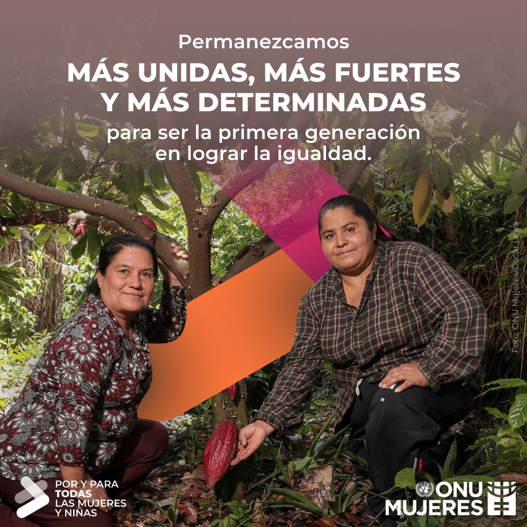 Hoy tenemos más fuerza, unión, diversidad y determinación para convertirnos en la primera generación en alcanzar la igualdad de género. #PorYParaTodas las mujeres y niñas. 

Más información: bit.ly/8M2025UNW