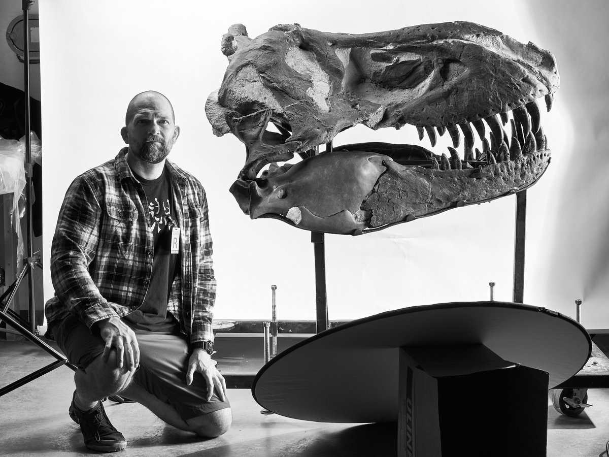 Royal Tyrrell Museum of Palaeontology tweet media