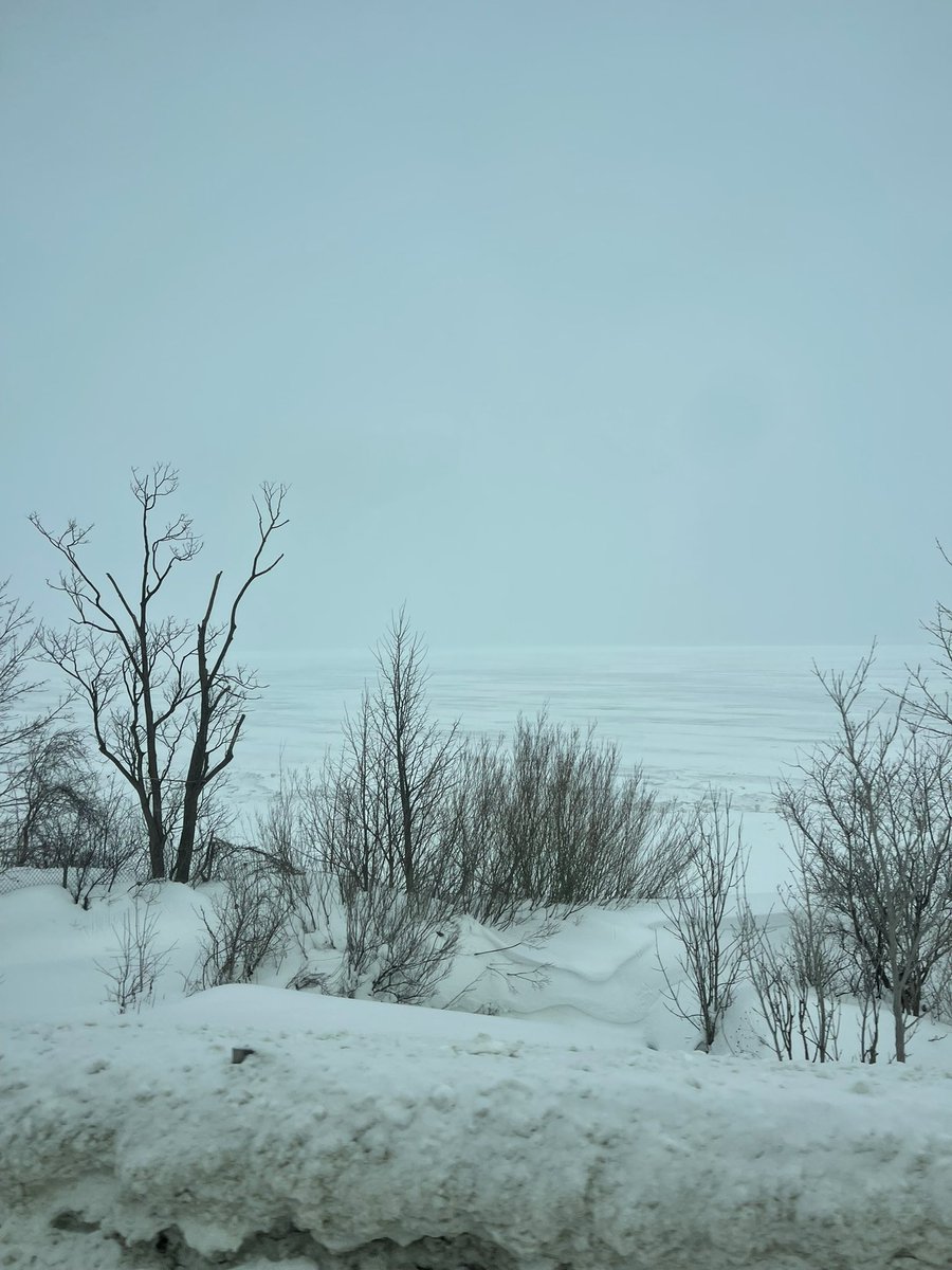 bagida_waad's tweet photo. Seeing ice on Georgian Bay at Craigleigh. I like seeing Georgian Bay getting a bit of a rest. #georgianbay #icecoverage #february #coldwaterfish https://t.co/WywiRJyNZd