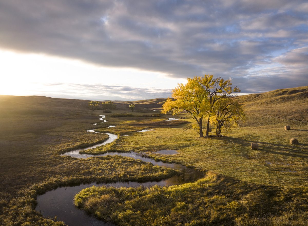 Nebraskaland tweet media