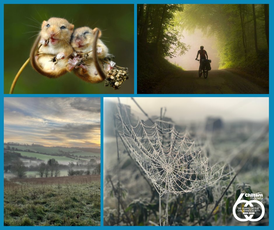 The winter edition of our eNews is out now! 

Featuring all the latest seasonal walks, Chiltern cycle routes and our 60th timeline celebrating some of our achievements, plus the latest volunteer vacancies.

Click here to sign up and never miss an issue ow.ly/Ra8u50V2Hkb