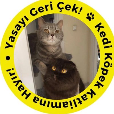 #YeniProfilResmi