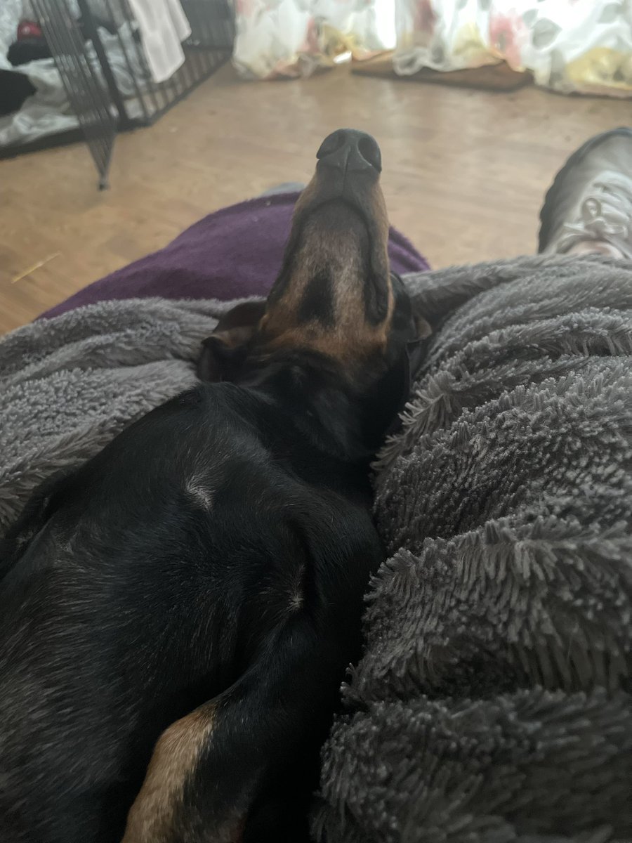 And…..chill 💤💤💤💤