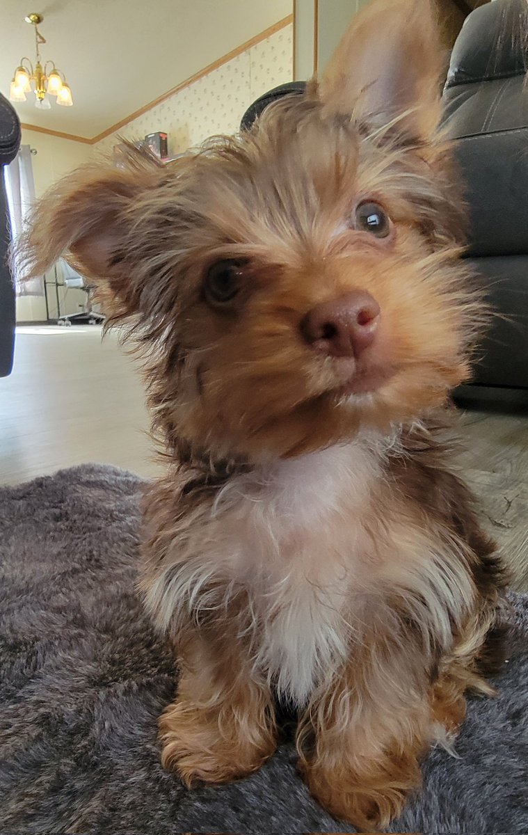 crippler81's tweet image. .@annashover come babysit for me!