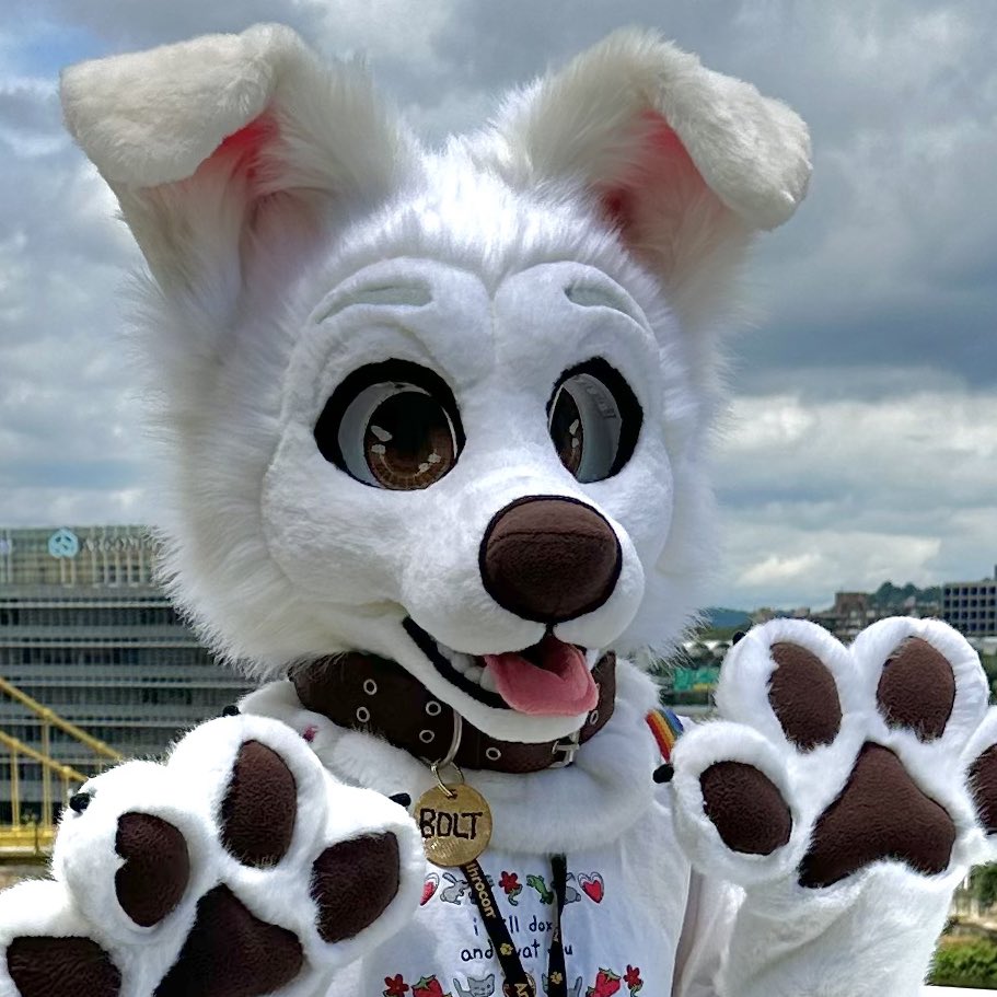 vulturx_'s tweet photo. @FlakeWusky i agree to thiiisss omg ft: my bolt fursuit lolol https://t.co/HtbQUzFMLI