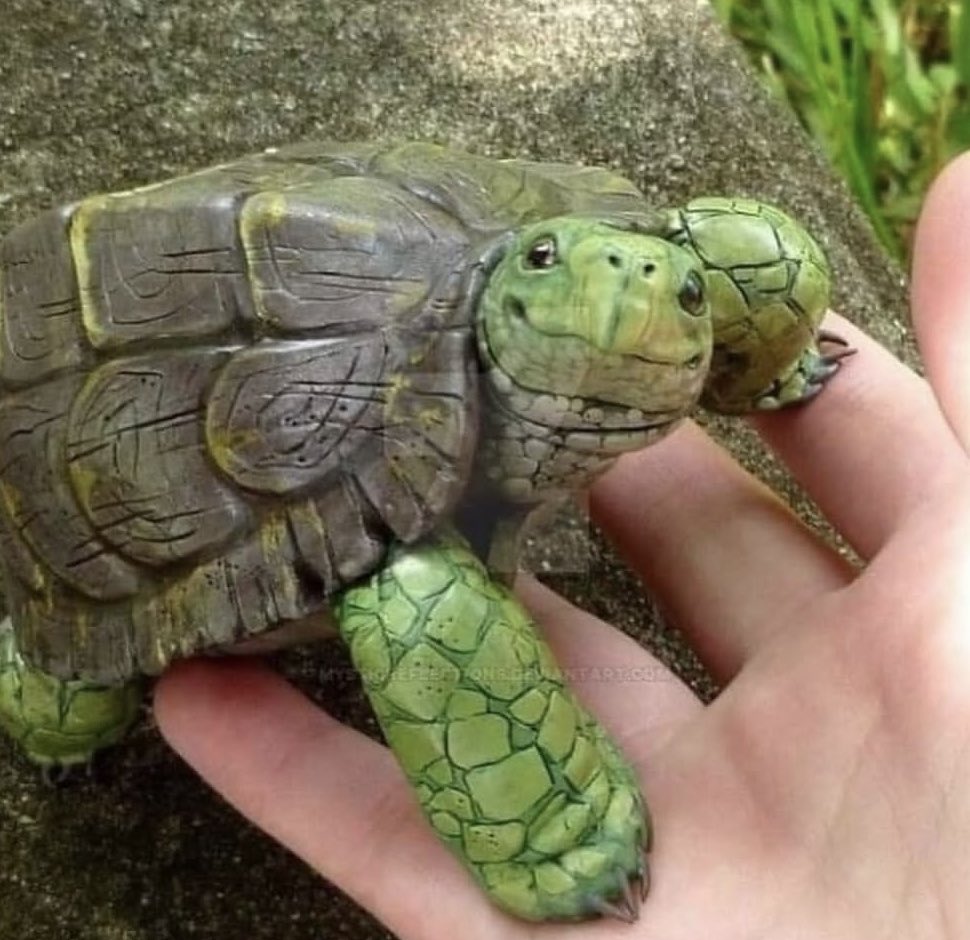 لـورا نایت tweet media