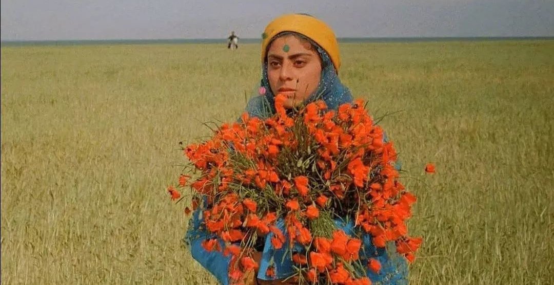 görkemli bir çürüme biçimidir 

'sanmak.'