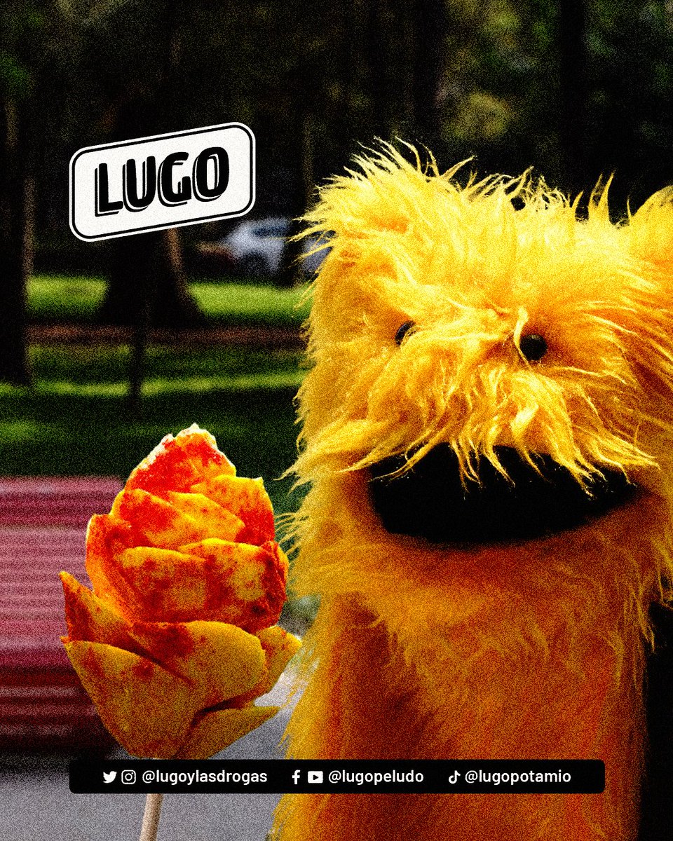 ✨🥭Lugo contemplando el inicio de la temporada de mango🥭✨

Algunas fuentes sugieren que comer mango entre 30 a 40 minutos antes de consumir cannabis intensifica los efectos del THC, debido a su contenido de terpenos.

¿Ya conocías este hack? 👁
