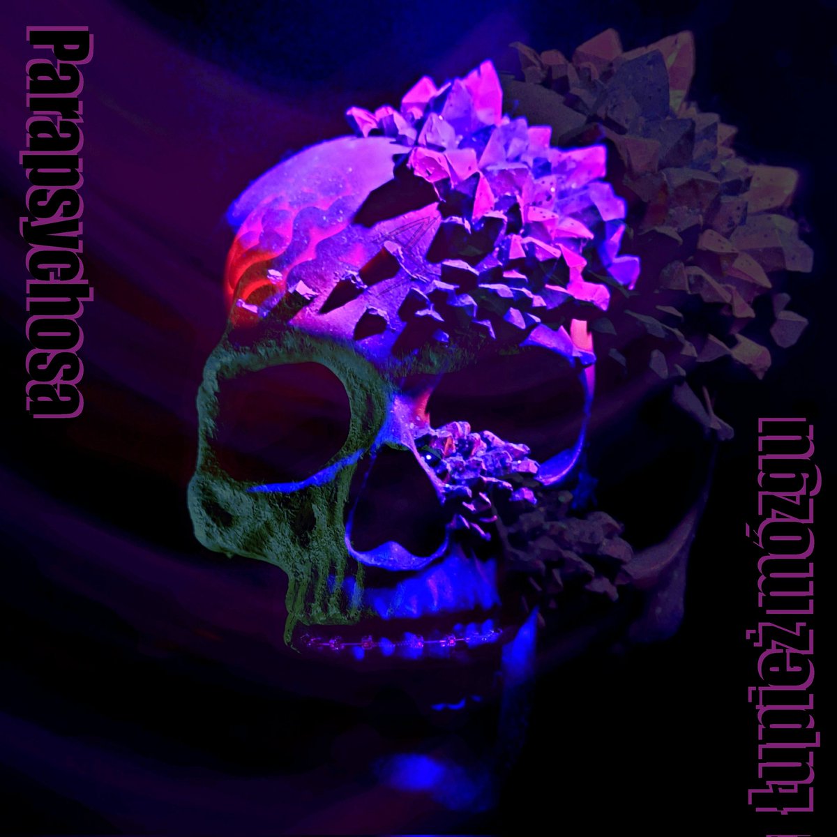 Derrick McLow Music (@derrick_mclow) on Twitter photo This is the artwork for the new #Parapsychosa single. I did not use any AI to create it. Purchased a fancy skull, a plastic brain and made some photos. Looks cool, don't you think?
#ComingSoon #notAIwork This is the artwork for the new #Parapsychosa single. I did not use any AI to create it. Purchased a fancy skull, a plastic brain and made some photos. Looks cool, don't you think?
#ComingSoon #notAIwork