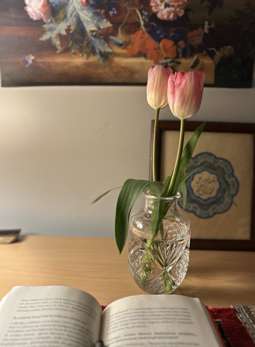 beyzaanurbal's tweet photo. lâlelere övgü. https://t.co/TNTZPGkjRs