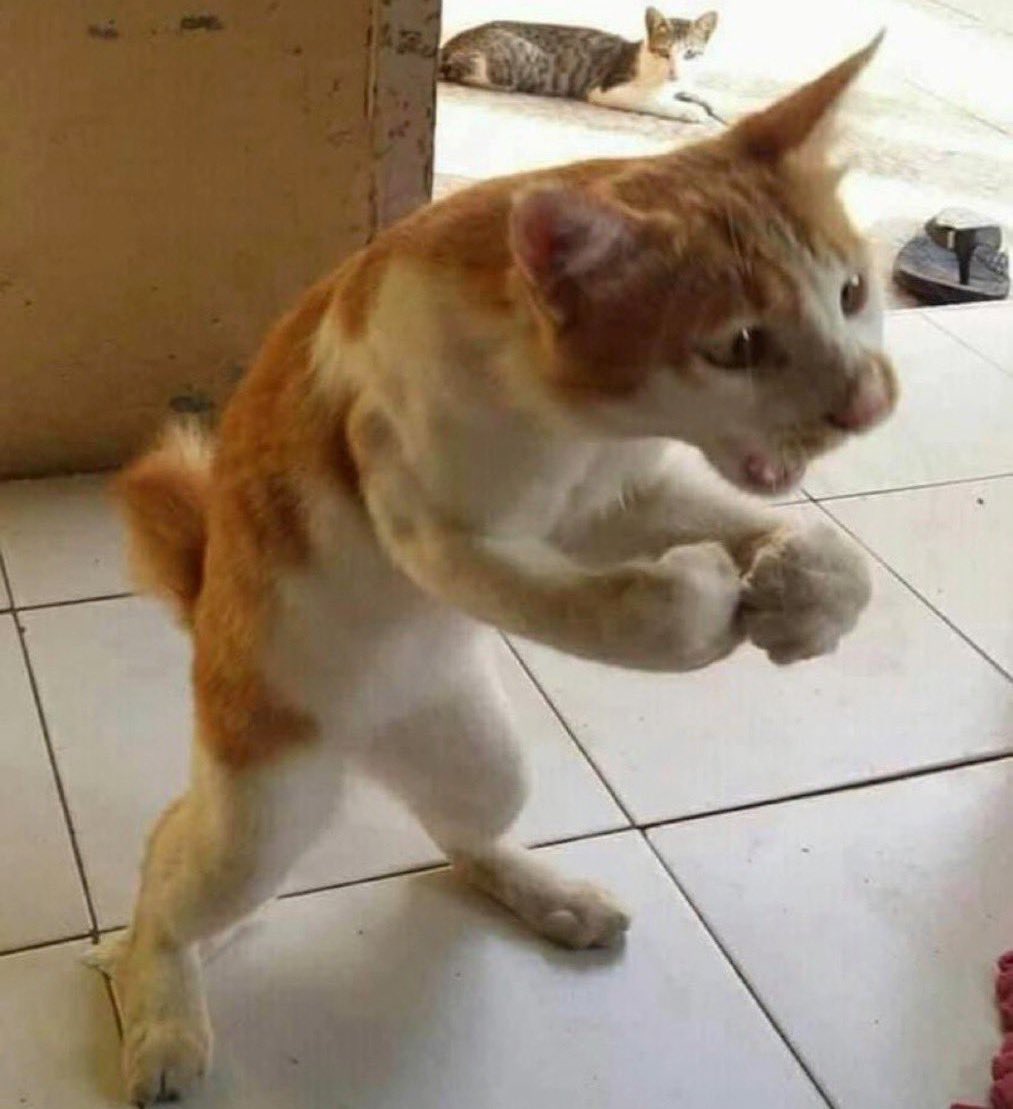 <a href="/kirawontmiss/">kira 👾</a> STOP TOUCHING NIGGAS WITH YOUR HANDS!!!!