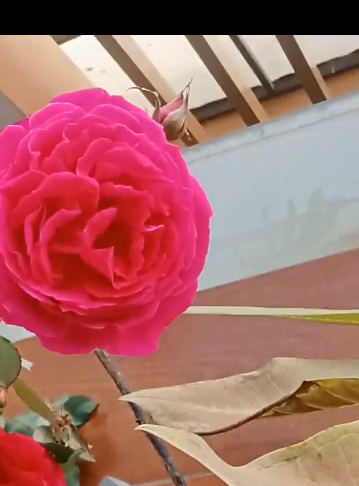MogaNatha's tweet photo. Tu woh bhi nahi hy Teri Mohabbat bhi uske jesi nhi hy. aur nahi tera chehra uske jesa hy par ek Dil uske jesa hy. https://t.co/mJTVynjHw2