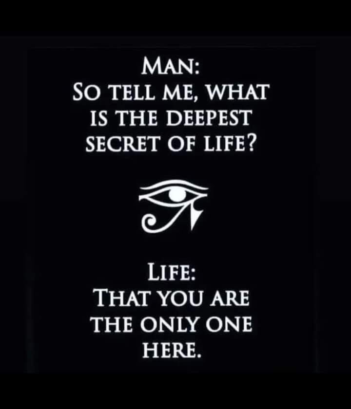 kevin_Elite5's tweet image. ✨