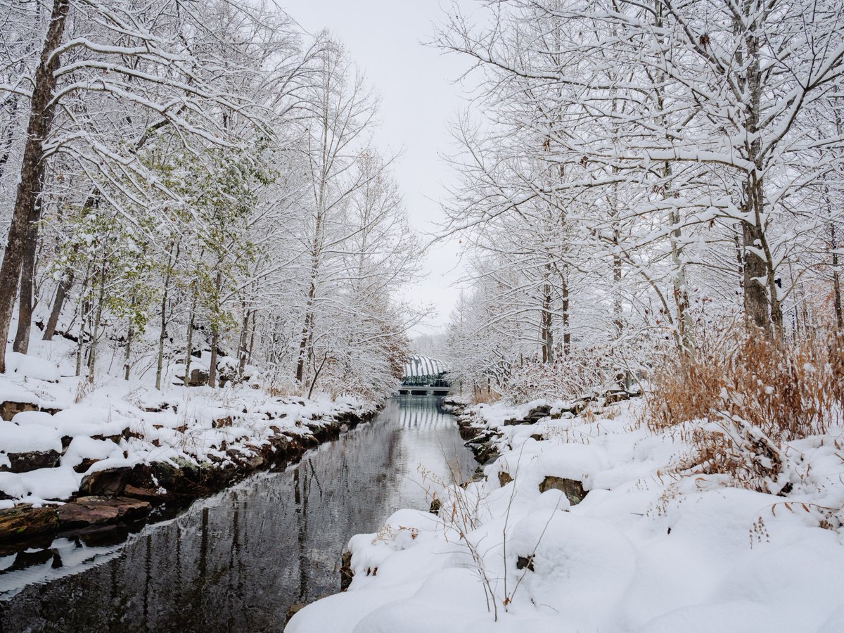 Need a place to warm up? ❄️👀 The galleries are waiting for you. See what's happening this weekend at your museum: bit.ly/3UHlNht

Stay safe out there, and we hope to see you soon! 

📸: @jonnymoments 

#CrystalBridges