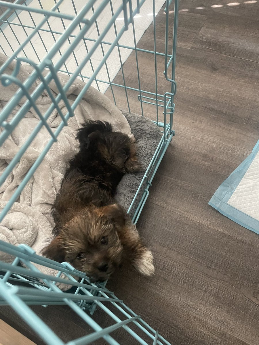 mcdrugget's tweet photo. @EliMcCann my baby boy https://t.co/cW853XpJ0h