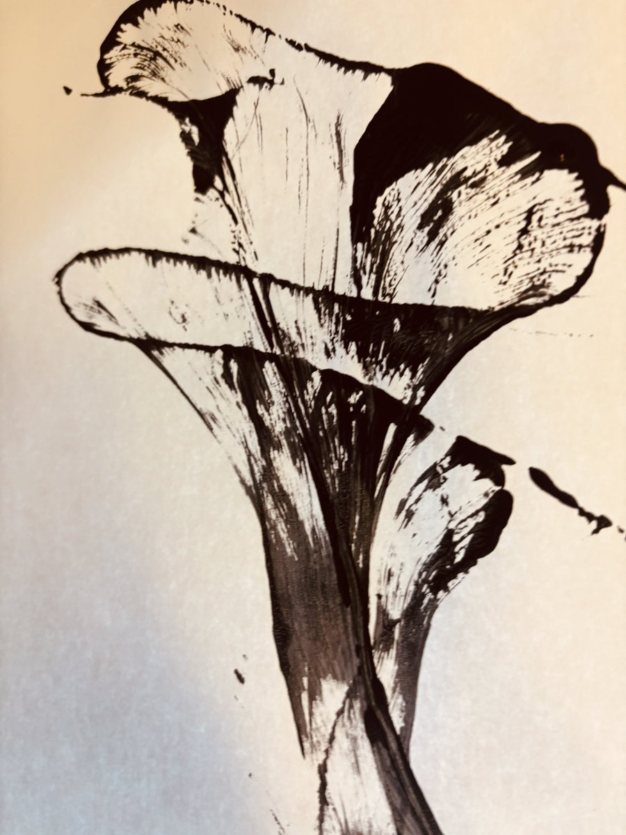 Janet Melia tweet media