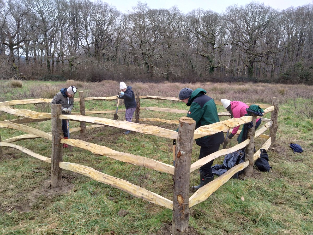 Isle of Wight National Landscape tweet media