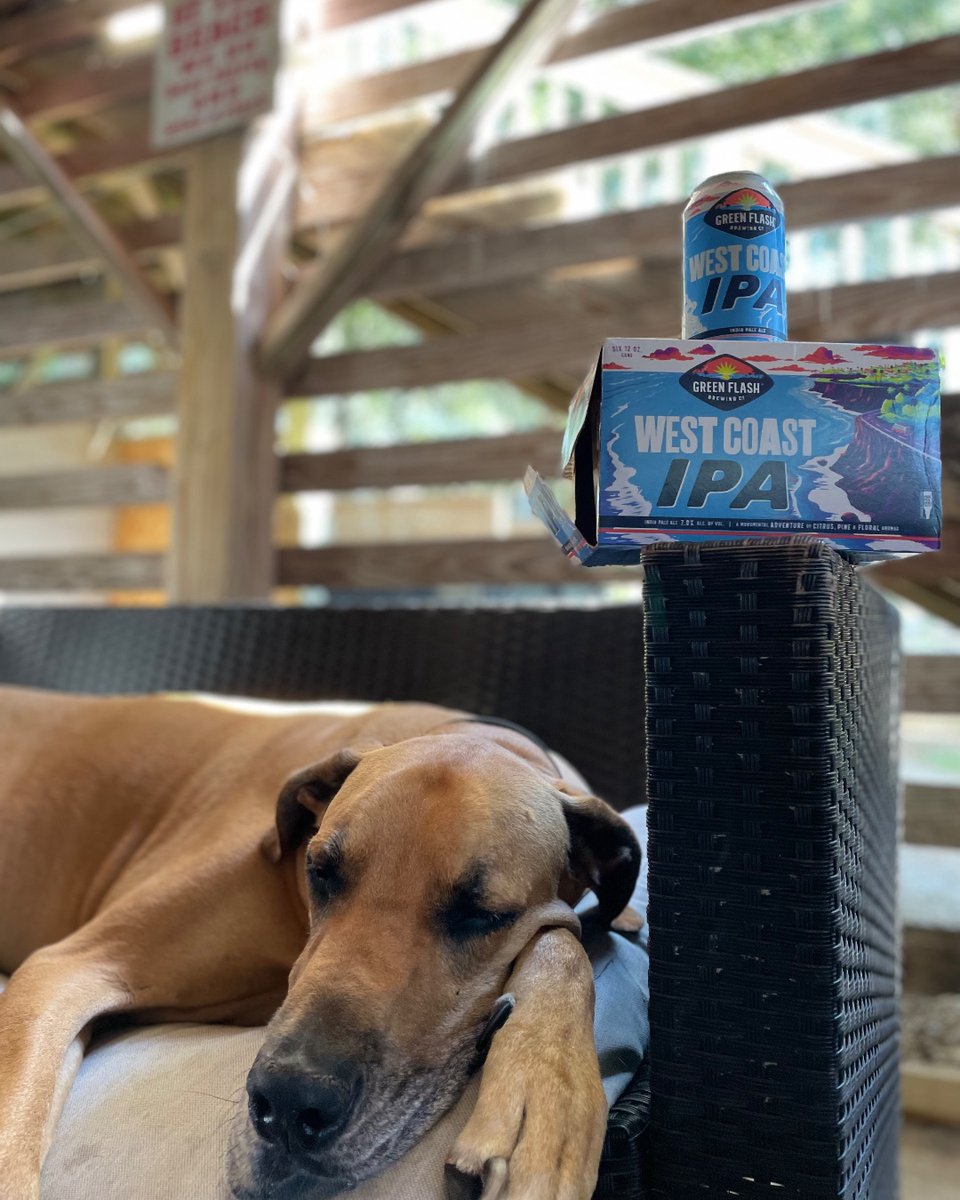 Our weekend plans consist of channeling Apollo's vibe. 🐶 🍺 💤 #greenflashbeer

📸: @delaneyborror