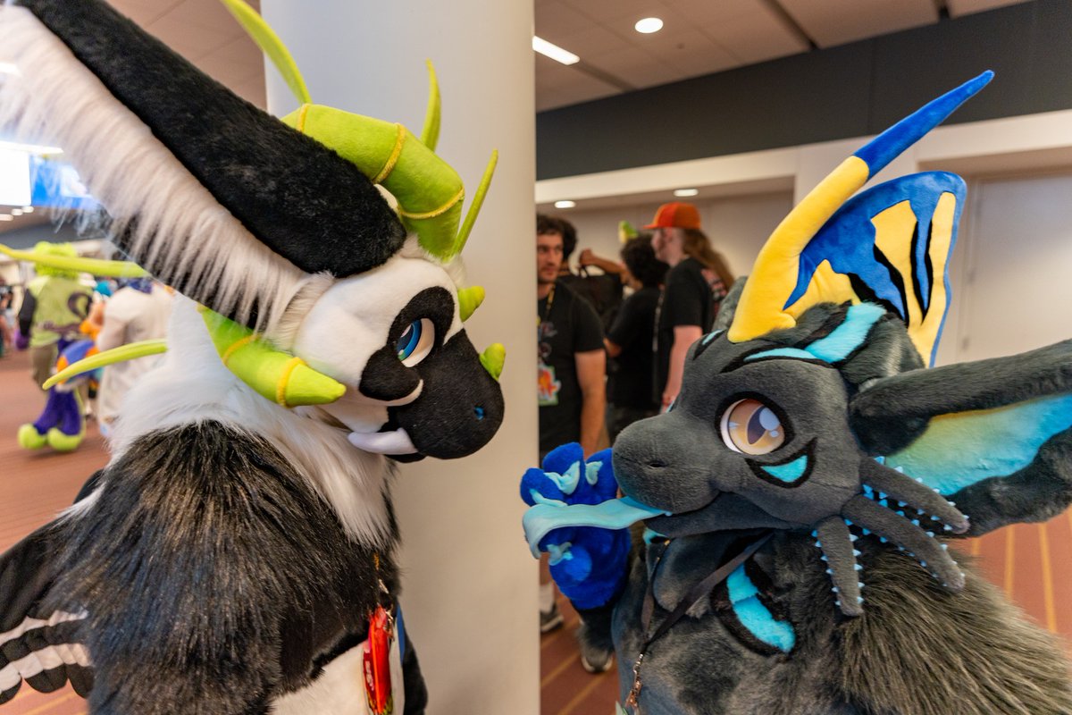 SpiritPanda Costumes tweet media