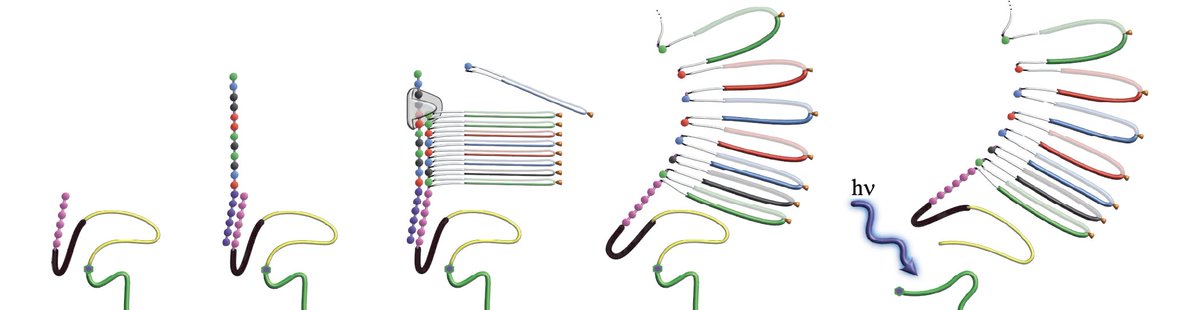 Greg Tikhomirov (@nanoassembly) on Twitter photo DNA sequencing by expansion!
Amazing new tech just dropped from <a href="/Roche/">Roche</a> 
roche.com/media/releases… DNA sequencing by expansion!
Amazing new tech just dropped from <a href="/Roche/">Roche</a> 
roche.com/media/releases…