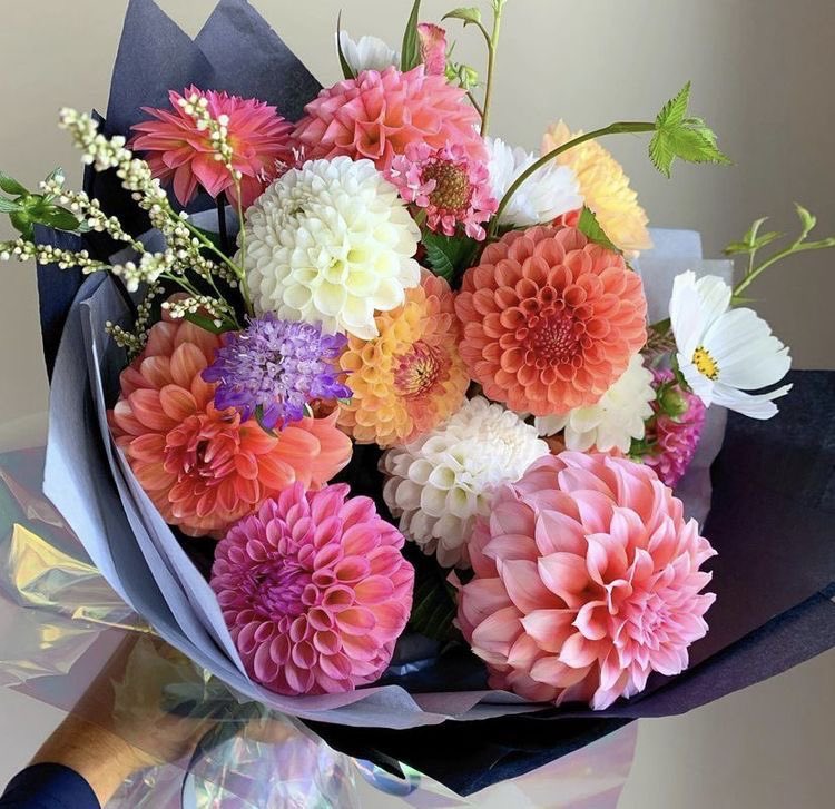 nyctoend's tweet photo. ღ 𝓅𝑒𝒹𝒾𝒹𝑜 ღ

𝒹𝑒: 🩷
𝓅𝒶𝓇𝒶: @leviwillwgr 

 ͏ ͏ ͏ ͏ ͏ ͏୨⎯  Agradecimento pelos serviços de babá ⎯୧ https://t.co/JaXubV4uyk