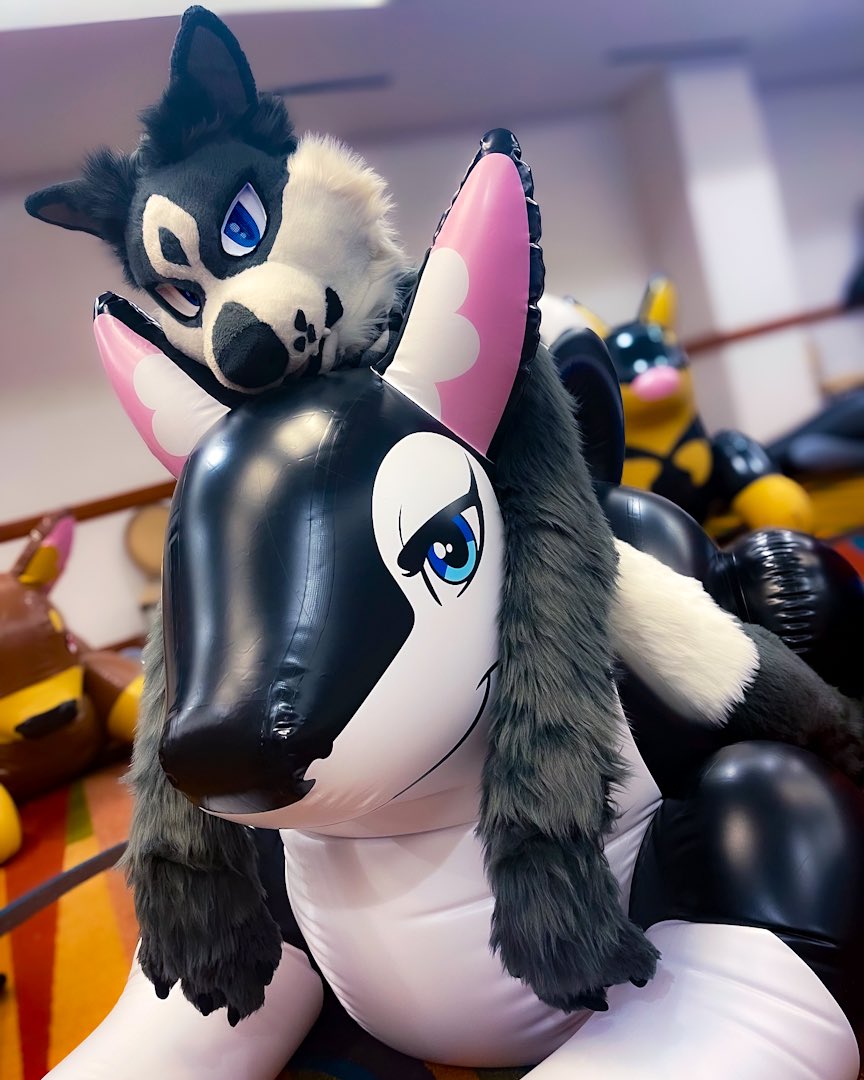 Leave fox attached for two hours, remove and feed him lunch for best results 🦊⚡️ #FursuitFriday