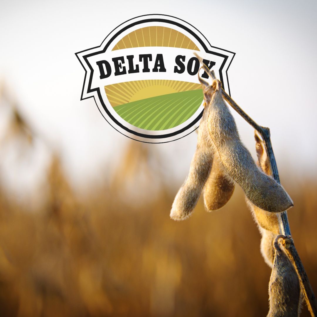 DeltaSoy's tweet image. Delta Soy’s steady basis helps you plan ahead and reduce risk. Say goodbye to price volatility and hello to reliable pricing year-round. 🌱

#DeltaSoy #SteadyBasis