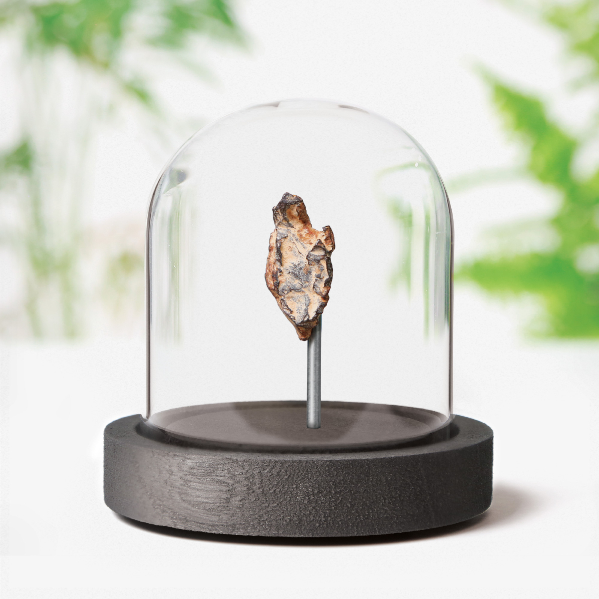 CuratedStudio tweet media